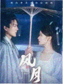 深林回声剧集封面
